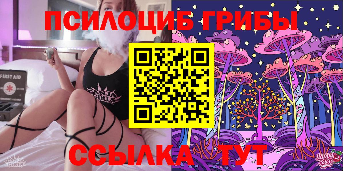 Псилоцибиновые грибы Psilocybe Мегион