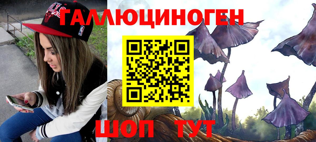 Мегион  Псилоцибиновые грибы мицелий  как найти   Вход с VPN 